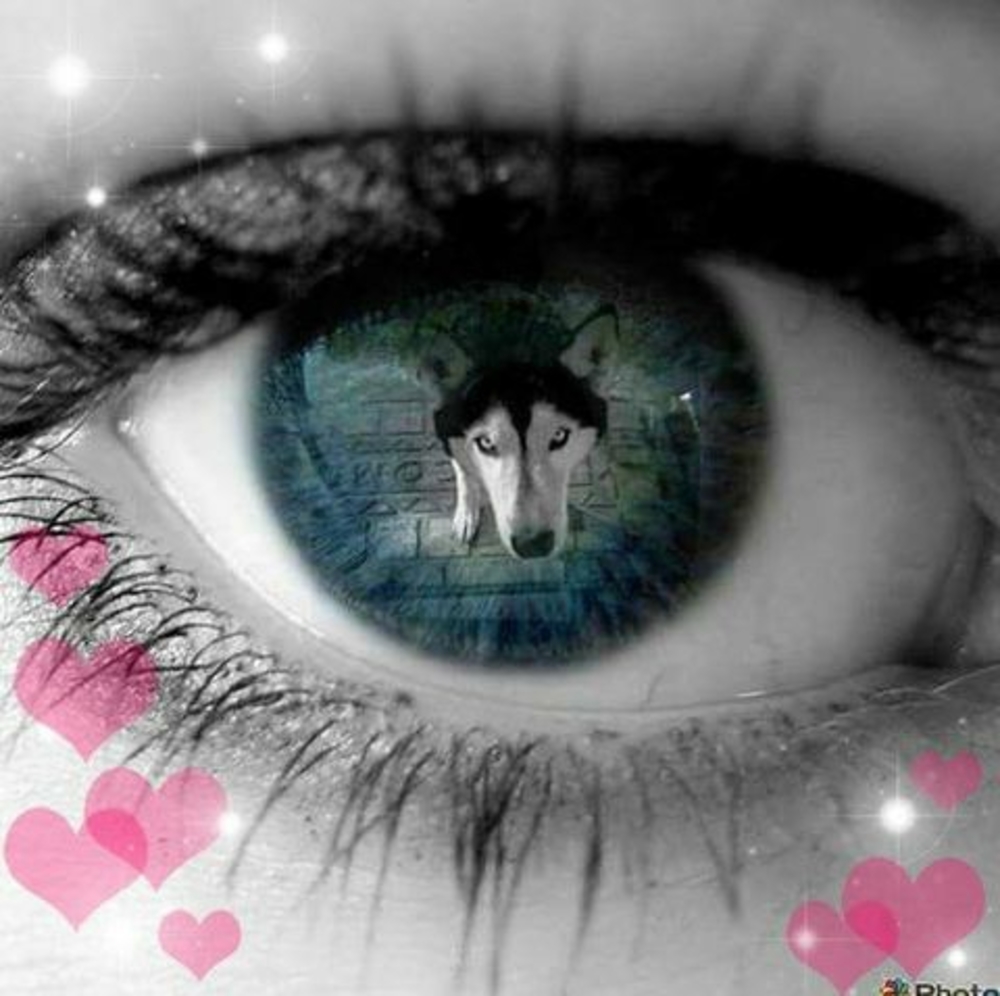 Meet your Posher, Fabiola